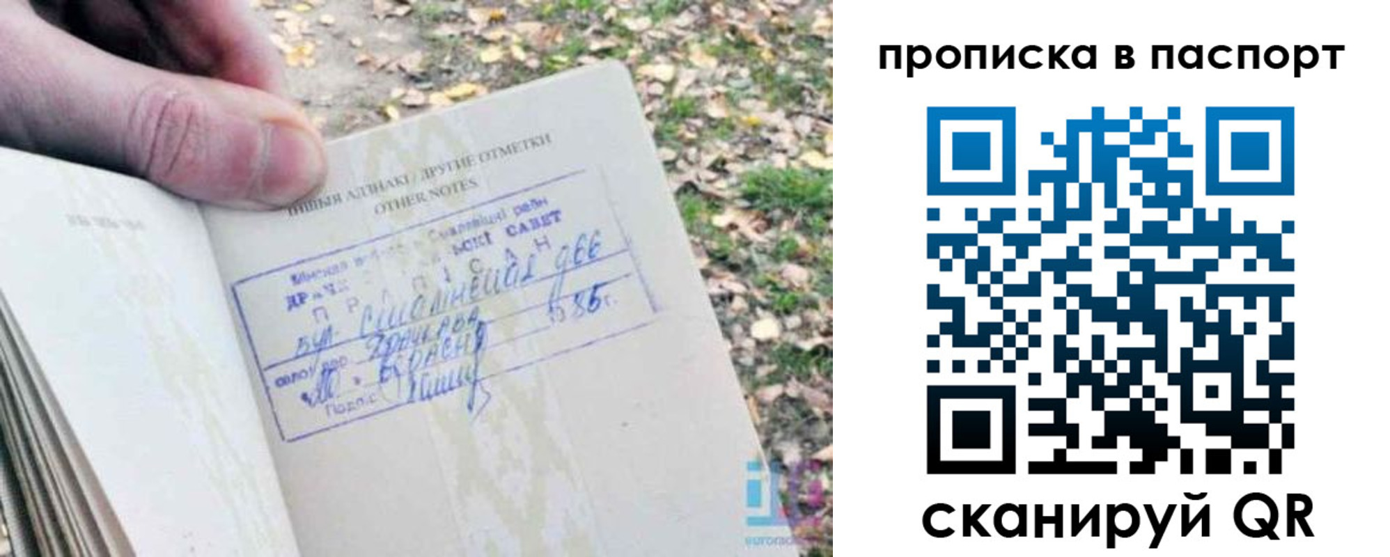 временная регистрация собственник в Коле